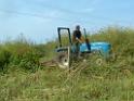 2 July 2006 Clearing Field